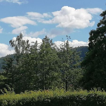 Appartamento Toepferblick Olbersdorf Esterno foto