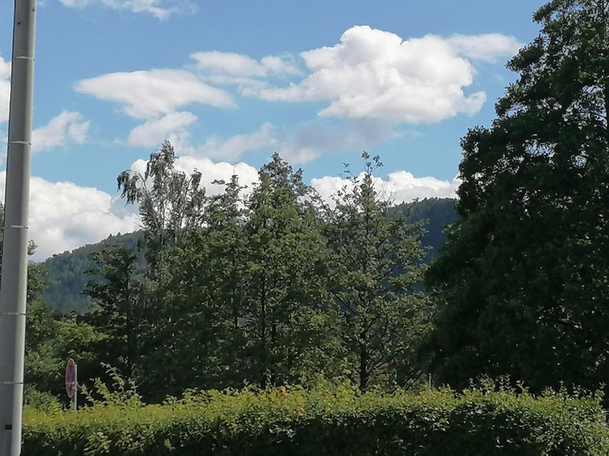 Appartamento Toepferblick Olbersdorf Esterno foto