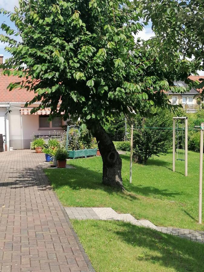 Appartamento Toepferblick Olbersdorf Esterno foto