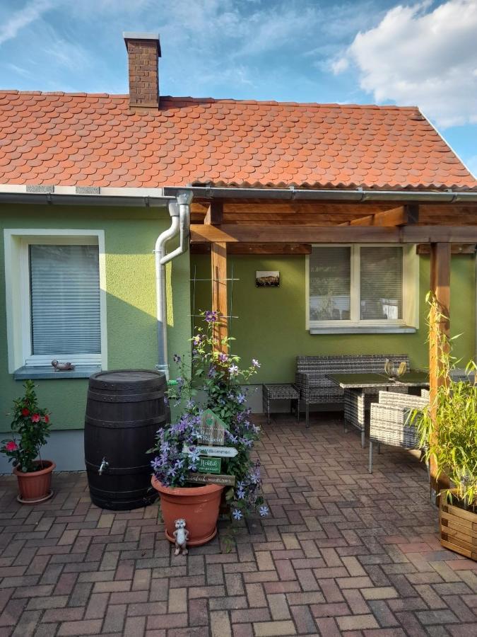 Appartamento Toepferblick Olbersdorf Esterno foto