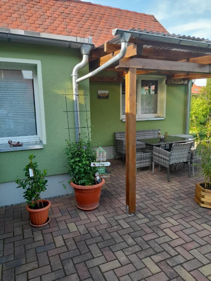 Appartamento Toepferblick Olbersdorf Esterno foto
